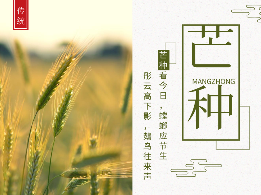 今日芒種，忙有所獲，不負(fù)耕耘！