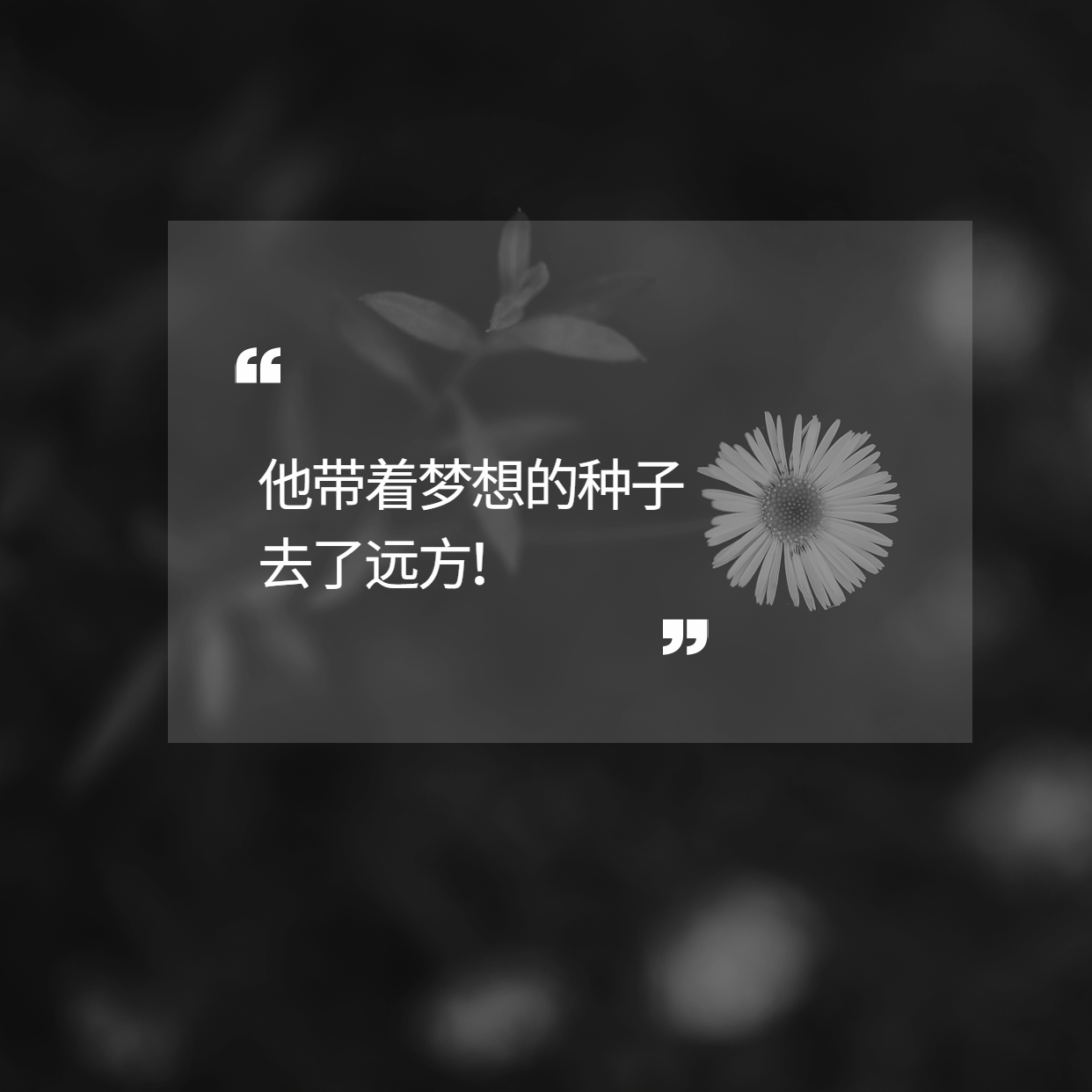 袁隆平用一粒種子的力量改變了世界！